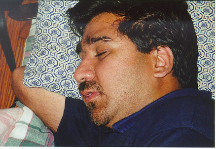 BandarInDeepSleep.jpg (197761 bytes)