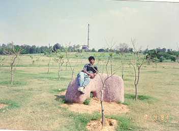 Bijudelhirock.jpg (12055 bytes)