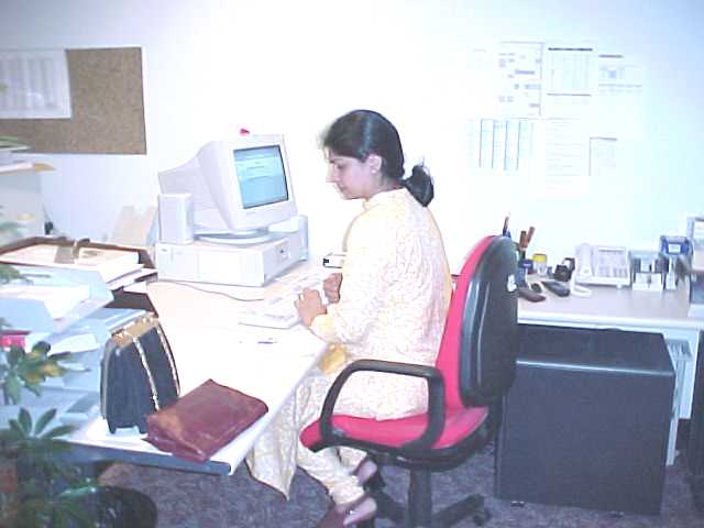 all3.jpg (25680 bytes)