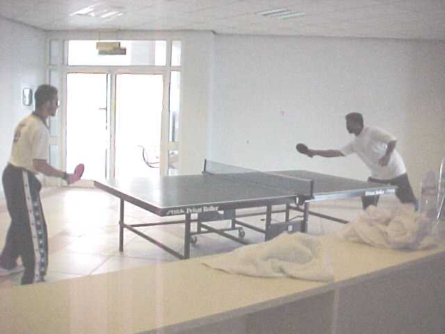 tabletennis.jpg (20248 bytes)
